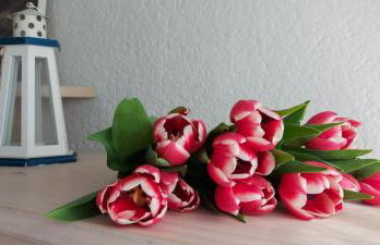 Vistes al mar Ideal per parelles i teletreball - Foto 1