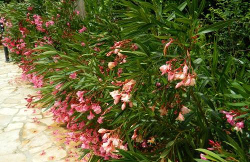 Stancieta Ulrihi - Foto 39