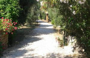 Casa Masseria Le Ville - Foto 14