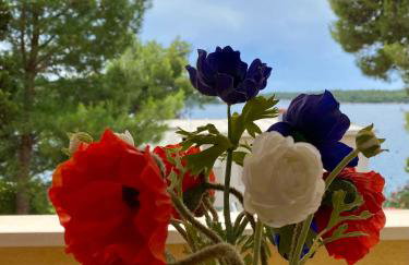 Apartments Atila - Foto 2