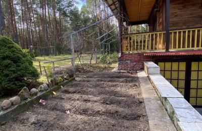 Leśny Czar - Foto 26