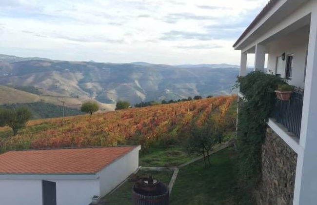 Quinta dos Espinheiros - Foto 36