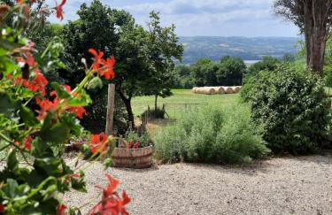 Agriturismo Il Truffarello TODI - Photo 26