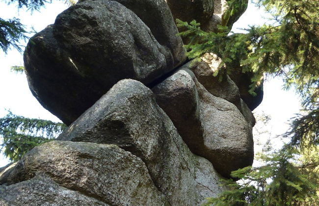 Schone Wohnung im Bayerischen Wald - Photo 76