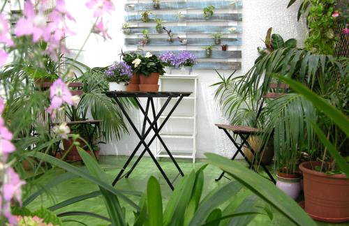 Apartamentos Calypso - Photo 80