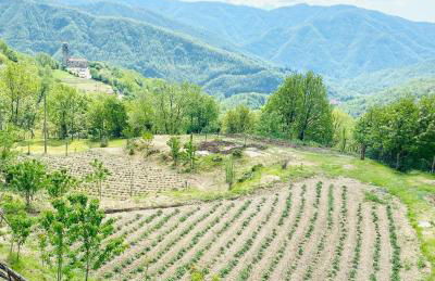 Agriturismo Montagna Verde Apella - Foto 41