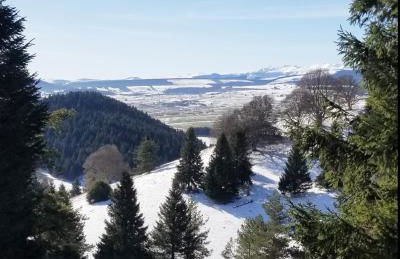 La terrasse des volcans - Foto 37