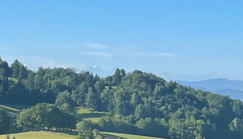 Blumenhof - ERHOLUNG PUR, traumhafte Aussicht - Foto 3