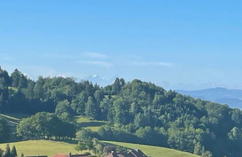 Blumenhof - ERHOLUNG PUR, traumhafte Aussicht - Foto 3