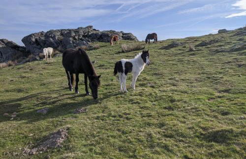 Appartement Ortesene - Foto 13