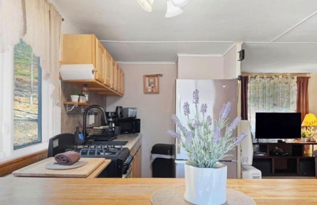 Pocono private retreat - Foto 29