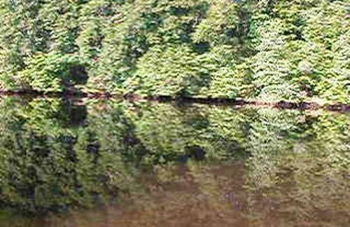 Studio charmant à Néris-les-Bains, 20 m², avec terrasse C - Foto 17