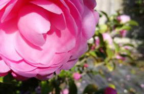 Maison familiale à 10 min du Mont Saint Michel - Foto 16