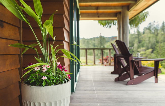 Tintoela of Norfolk - Foto 25