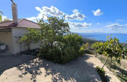 Cuckoo's view - Foto 24