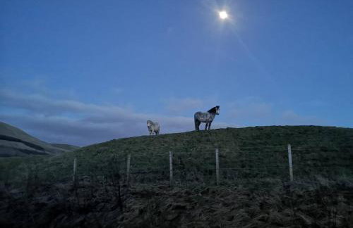 Glen Bay - 2 Bed Lodge on Friendly Farm Stay with Private Hot Tub - Foto 24