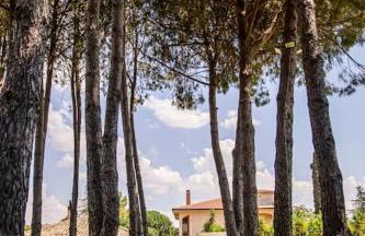 Villa Laoconte piscina, jacuzzi e biliardo - Foto 6