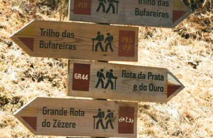 La Nara Villa - Foto 29