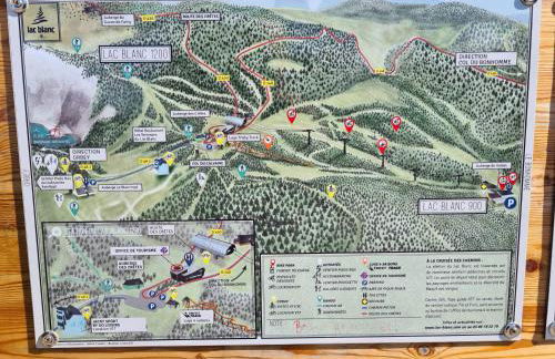 bel appartement 3 pièces dans la Résidence Vosges-Alsace Orbey - Foto 14