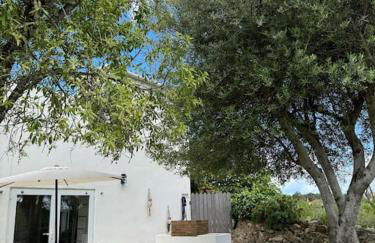 Casa Nova Vida - Foto 6