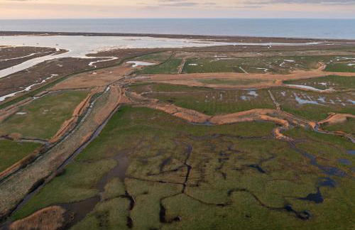 The Ballroom - Foto 80