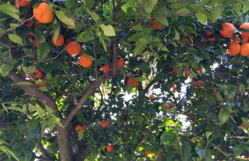 Quinta Parque Nacional Peneda Geres - Foto 24