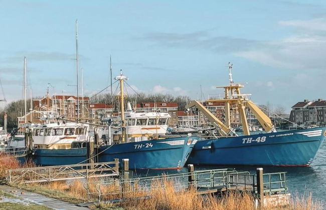 Villa Oesterdam Comfort 6 Persons - Foto 23