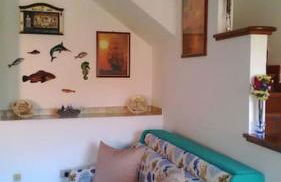 Rosemary Flavor - Foto 19