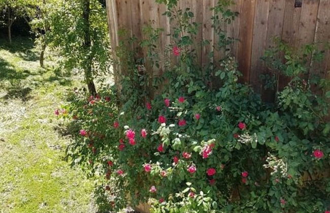 Holiday Apartment Chapel - Foto 21