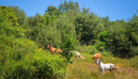 Casa Rural Calderón I - Foto 2