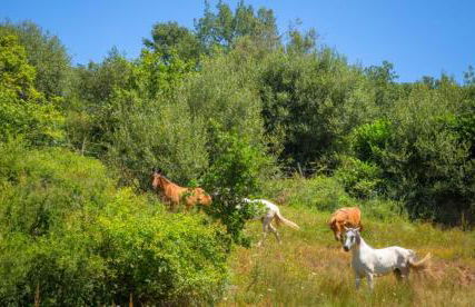 Casa Rural Calderón I - Foto 2