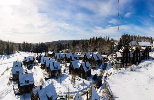 Holiday Homes in Torfhaus Harzresort, Torfhaus - Foto 146