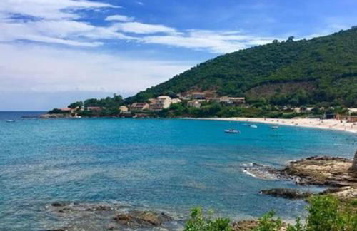 Pieds dans l'eau - La Villa Crique aux tortues - Foto 57