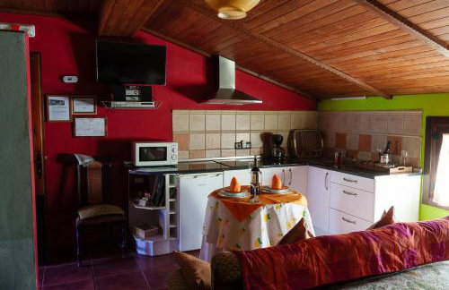 Cozy studio in Valencia de Alcántara 25 m² lovely garden - Foto 5