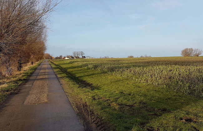 Ferienwohnung auf Insel Poel - Foto 33