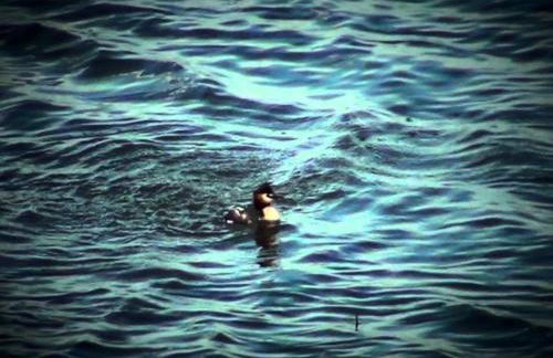 Characteristic Apartment in Codigoro With Pool - Foto 56