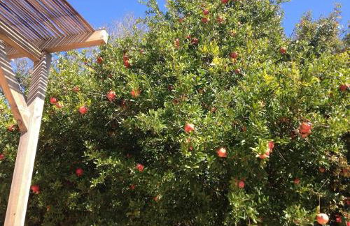 Τhe banana tree beach house - Foto 6