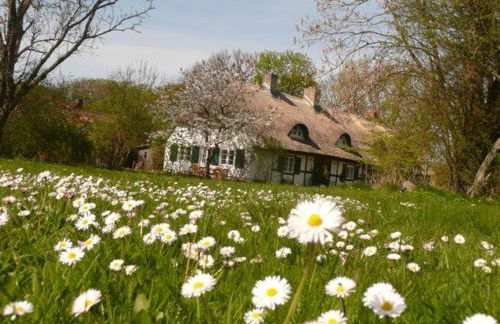 Reethaus Rosengarten Rügen gegenüber Hiddensee - Whg Strauchrose im DG - Foto 1