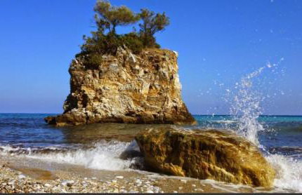 Sea La Vie - Photo 1