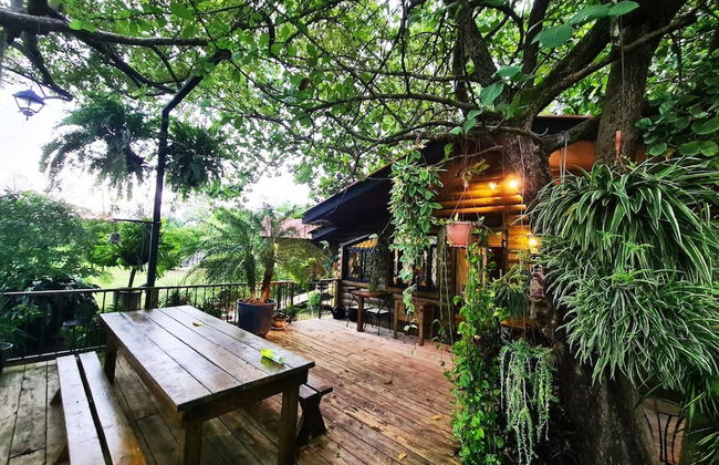 Quinta Pavo Real Complex by Acomodo - Photo 46