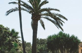 Son Jordi nou, beautiful villa near Alaro big swimming pool, BBQ mountain views 12people - Foto 78