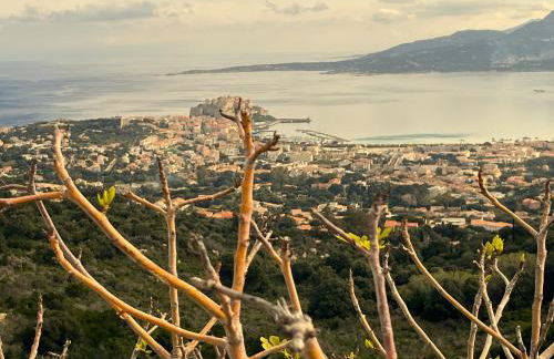 Les galets bleus de Calvi - Foto 55