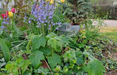 Appartement neuf, Rez de jardin, 30m2 lumineux - Foto 12