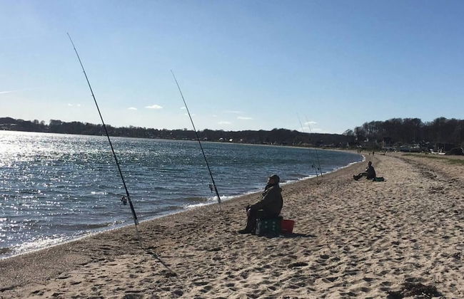 2 Houses In One I Family Friendly I Kids I Sauna I Beach I Large Garden - Foto 35