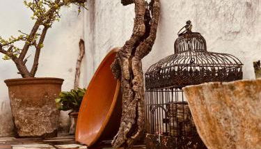 Casa do Rouxinol - Foto 5