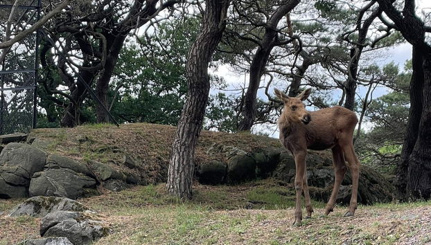 4 Person Holiday Home in Tarnaby - Foto 4, Miscelánea