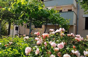 Apartman Adrijana Kastav, free WiFi & parking, 2 bedrooms & sea view - Photo 1