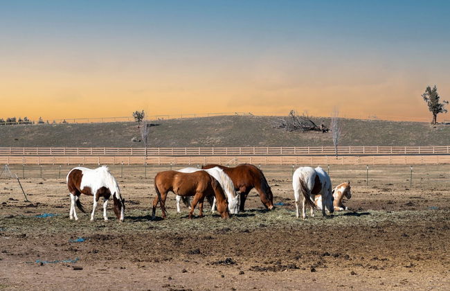 Clint by Avantstay Located Within The Brasada Ranch Community Golf Course Pool Hot Tub - Foto 40