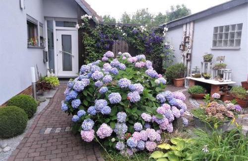 Ferienwohnung Dittrich - Photo 34