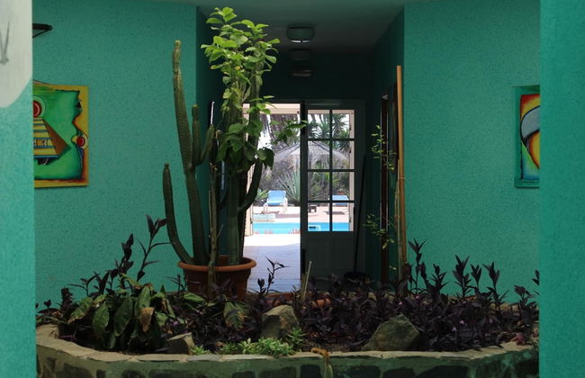 Rustic 1-bed Bungalow in Parque Holandés - Photo 18